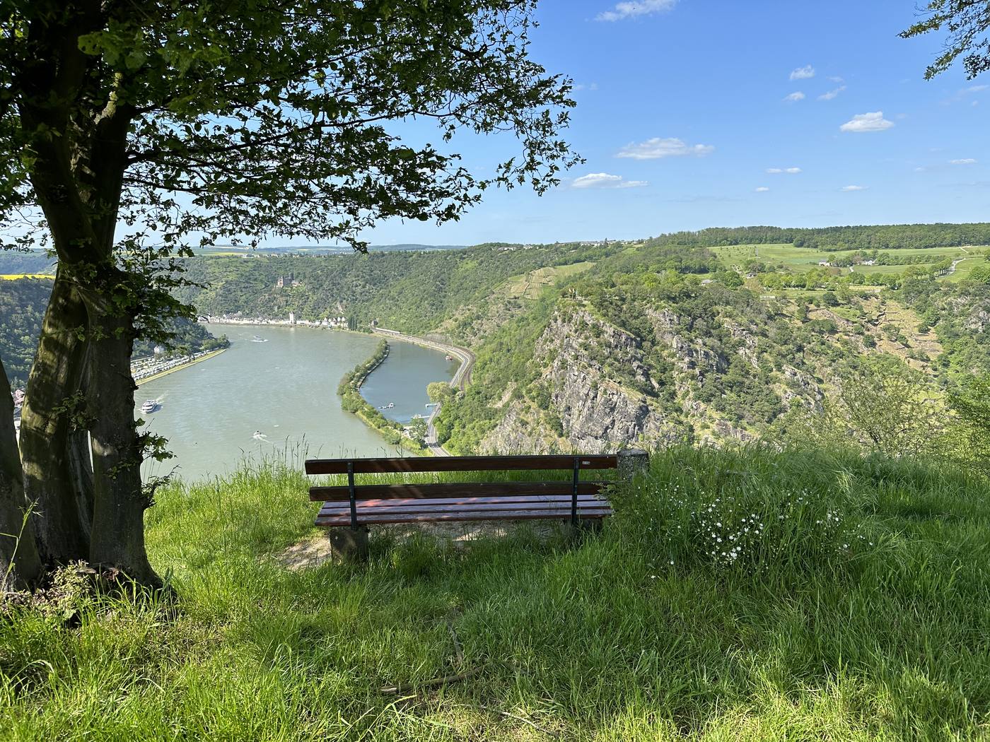Blick von den Hunsrückhöhen auf die Rheinschleife bei der Loreley.
